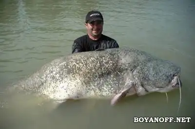 Рыбалка по-взрослому