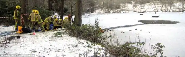 Спасение кокер спаниеля