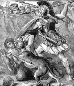 Собаки на театрах военных действий (часть первая)