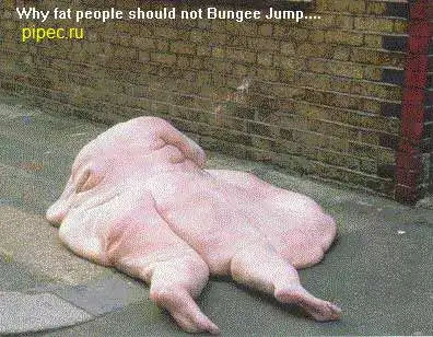 Подборка на ночь