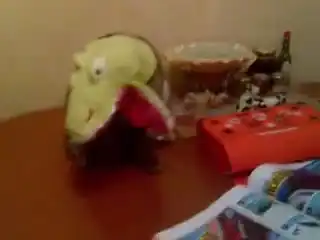 КОТ - МОНСТР!!!