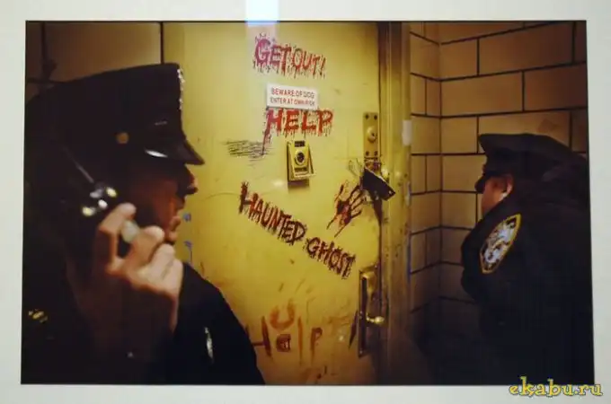 Фотографии Антонио Больфо