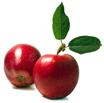 Ролик - Адам и Ева