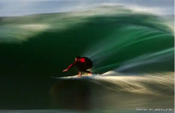 Лучшие фотографии 2010 года