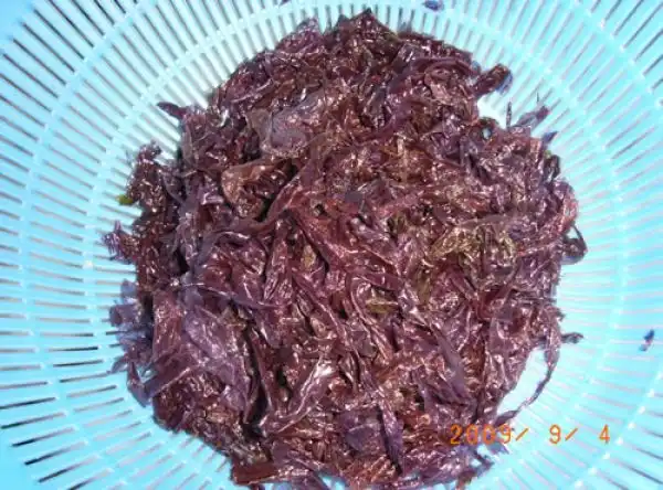 Фальшивые морские водоросли