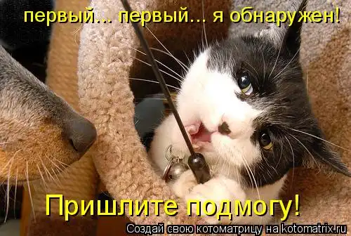 Котоматрицы