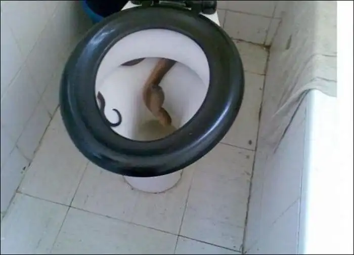 Что тут случилось? (4 фото)