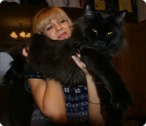 Ничего себе КОТЭ!