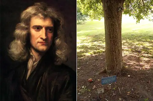 10 самых странных опытов в истории науки