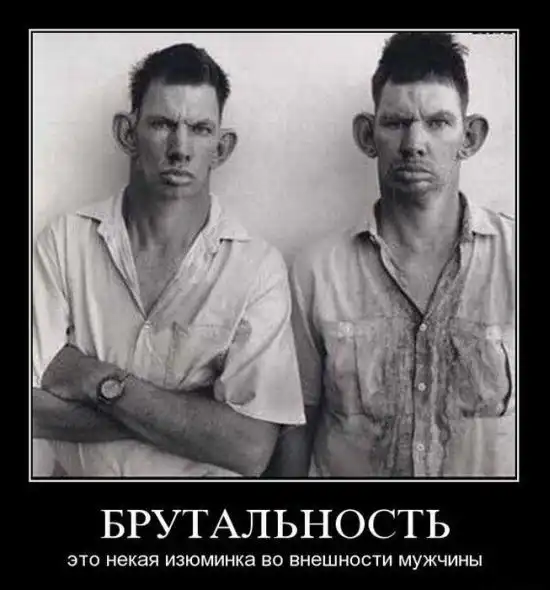 Демотиваторы (54 фото)