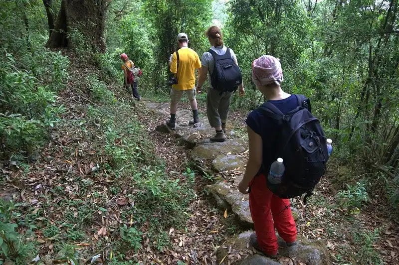 Охотники за гималайским мёдом