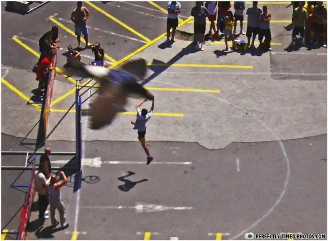 Поймай момент