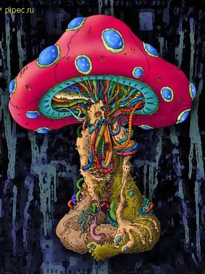 Зарисовки наркомана  )))))