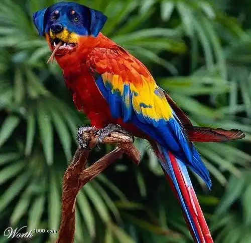 Несуществующие животные )))