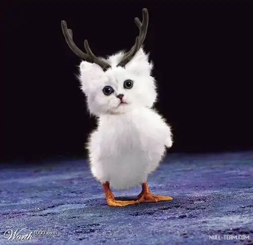 Несуществующие животные )))