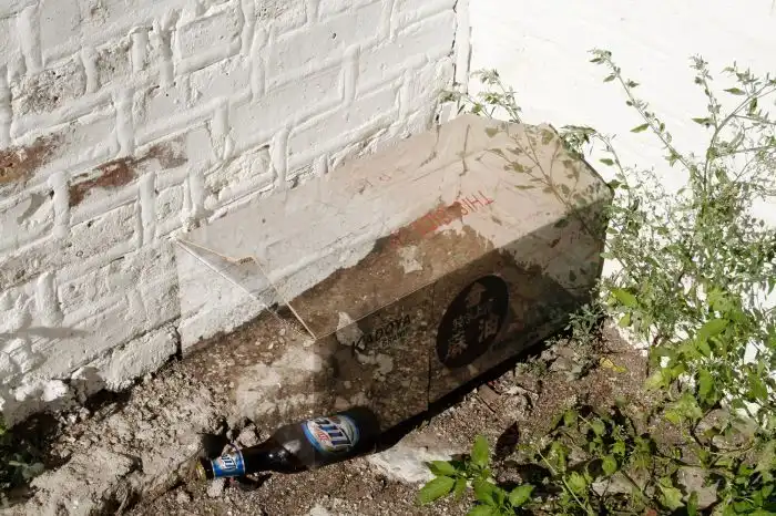 Прозрачное искусство