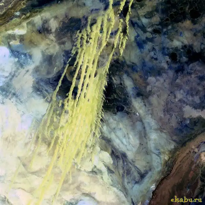 Земля как искусство 2010