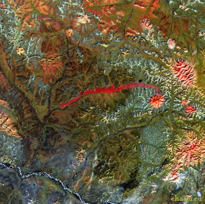 Земля как искусство 2010