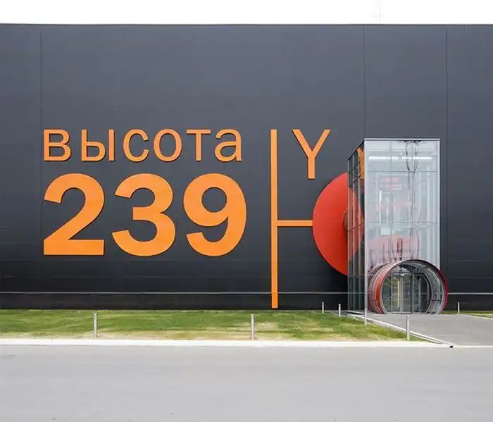 Челябинск. Высота 239.