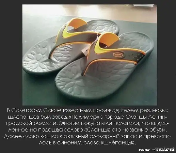 Интересные факты