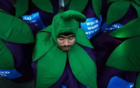 Подборочка прикольчиков