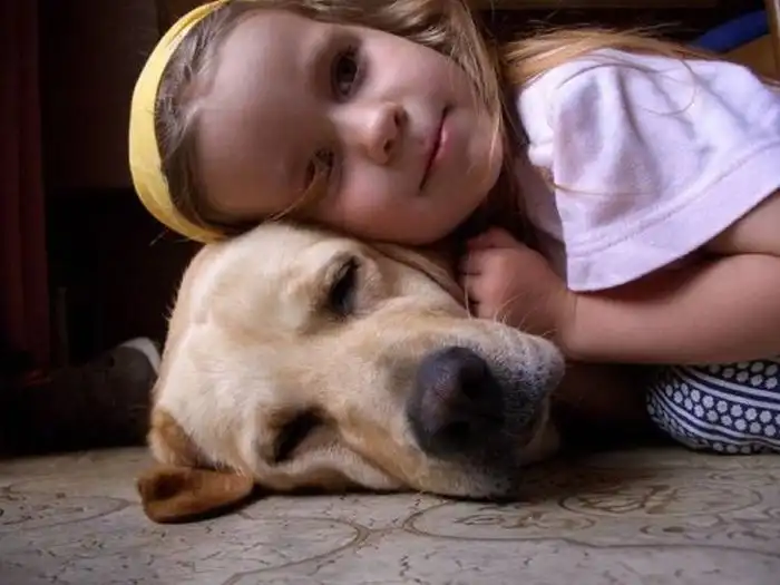 Детишки и домашние животные