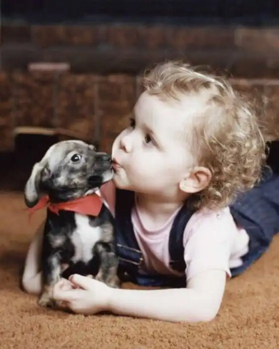 Детишки и домашние животные