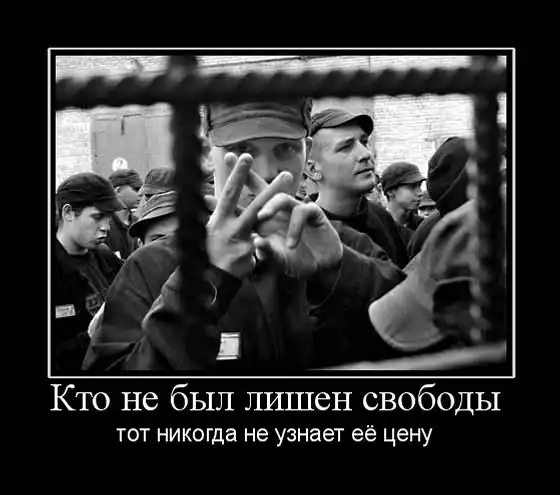 Мои картинки в чёрной рамке