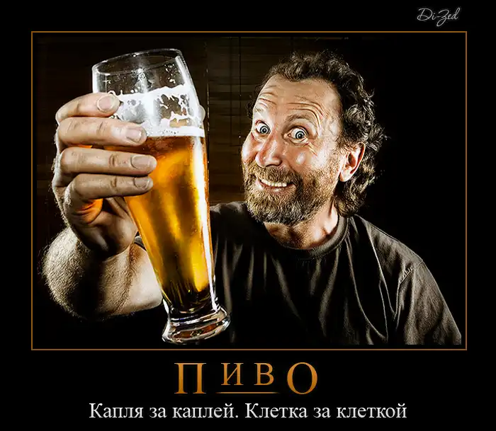 12 демотиваторов