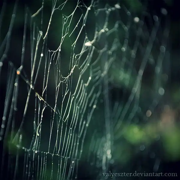 Фотограф Eszter Valy