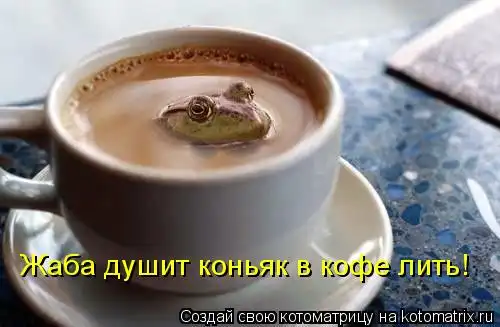 котоматрицы...!!