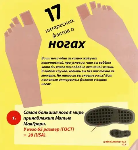 Любопытно о ногах