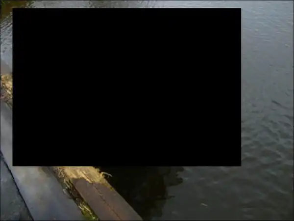 Опоздал на паром