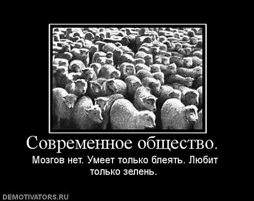 демотиваторы