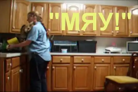 Как вам такая киса?