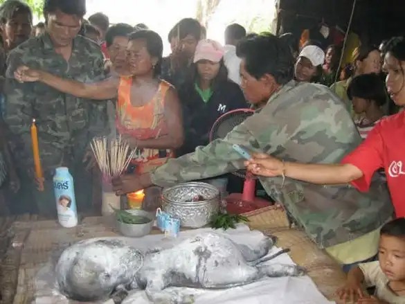 Что это? Ваши предположения.