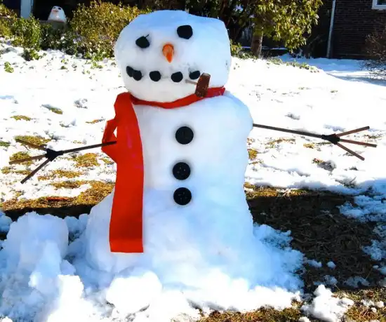 Снеговики - модели 2010-11 года ))