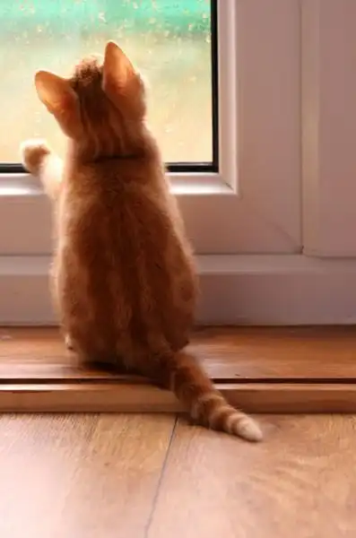 Фотоподборка из сети.№7(181 фото)