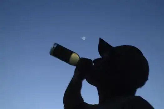 В Египте гражданин Сербии Драган Стевич случайно убил акулу