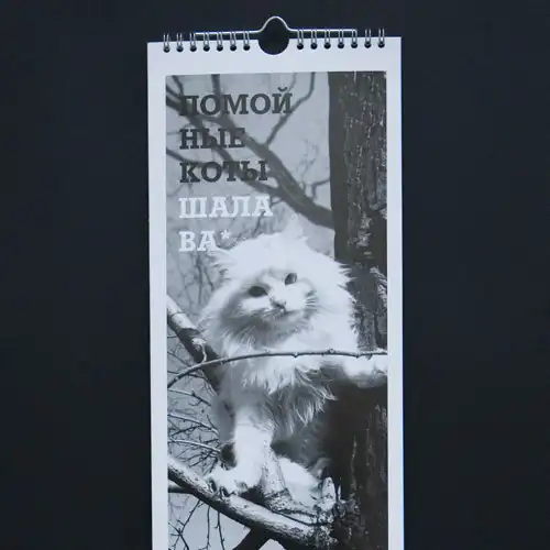 Календарь бездомных кошек.