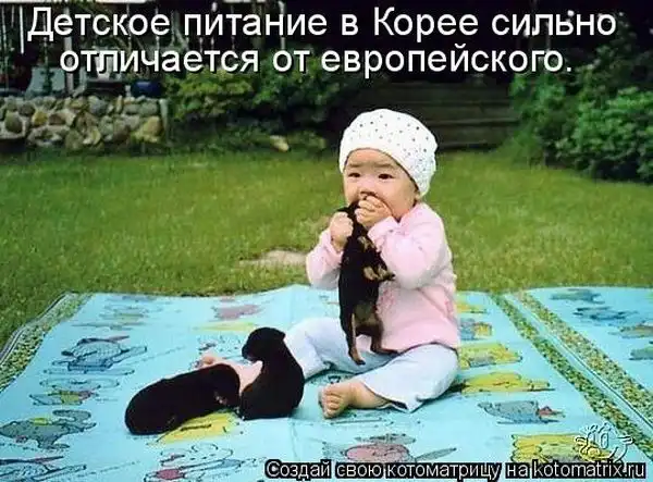 Лучшие котоматрицы недели