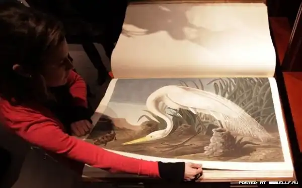 Самая дорогая книга в мире