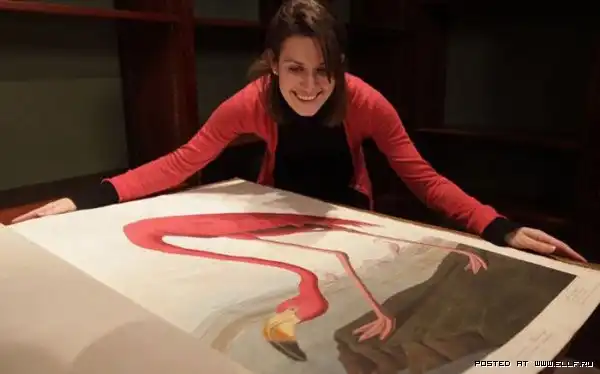 Самая дорогая книга в мире