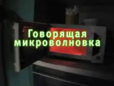 "Говорящая" микроволновка