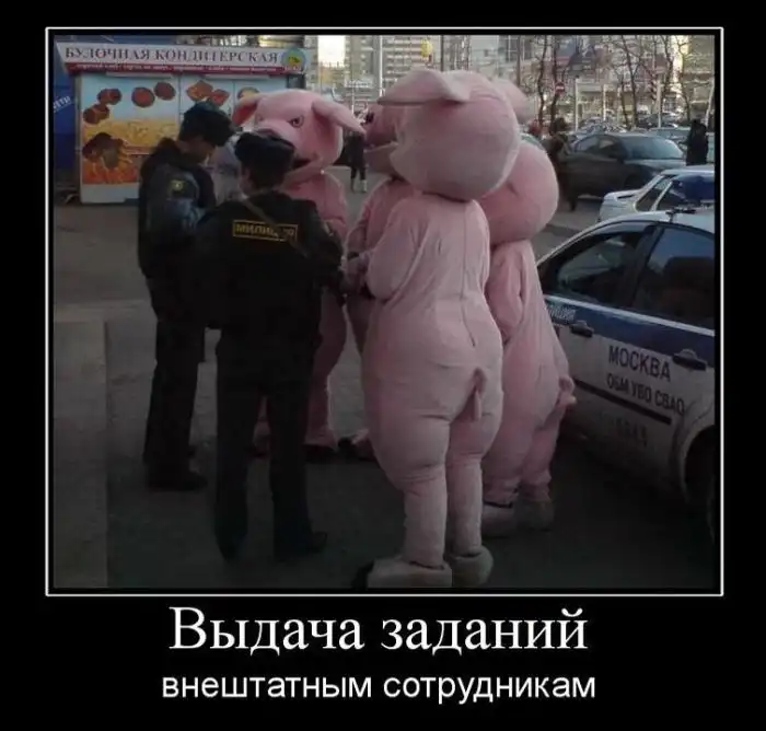 Демотиваторы