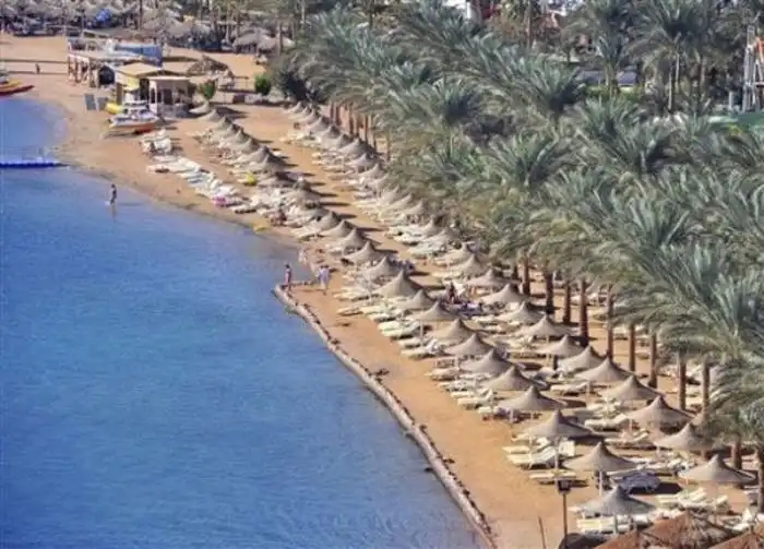 Акула-людоед в Египте