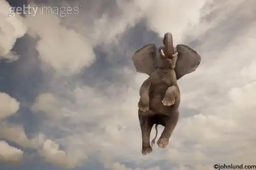 6 необычных фактов о слонах