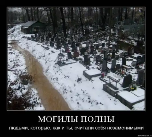 ДЕМОТИВАТОРЫ.