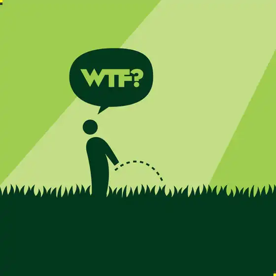 WTF-иллюстрации