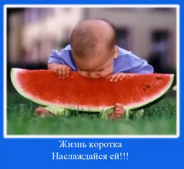 Новые мотиваторы